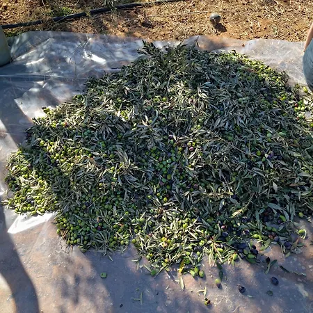 Apartamento Traditional House Inside Filoti, Naxos *